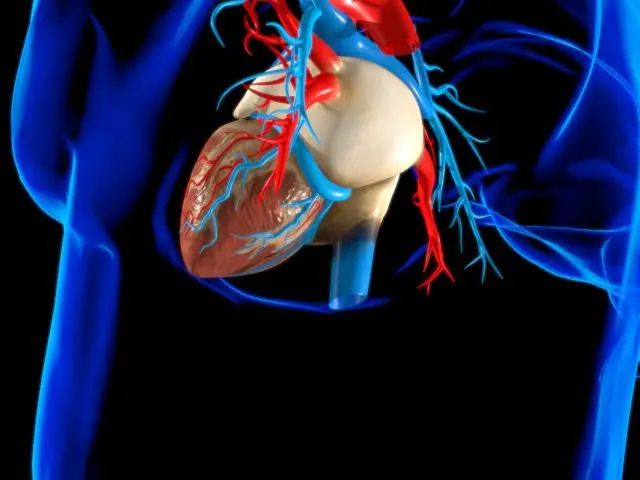 Best Hospitals for Heart Surgery