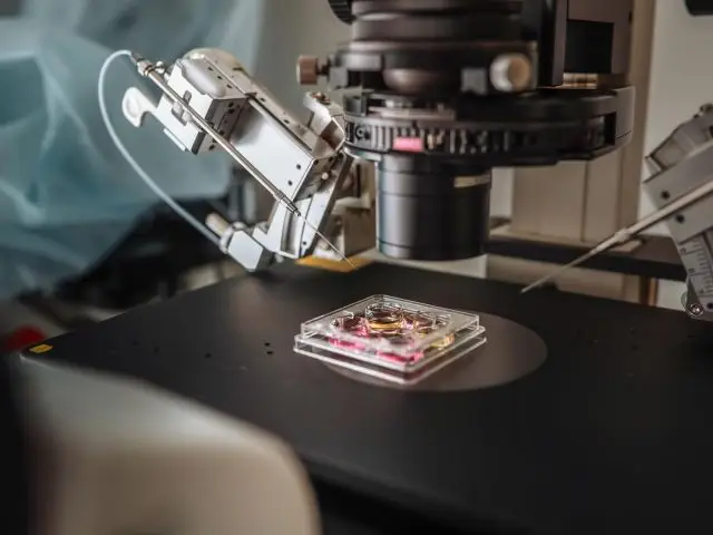 Complete Guide for IVF Treatment Cost